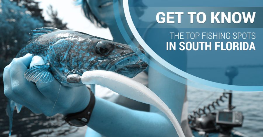 top fishing spots in florida