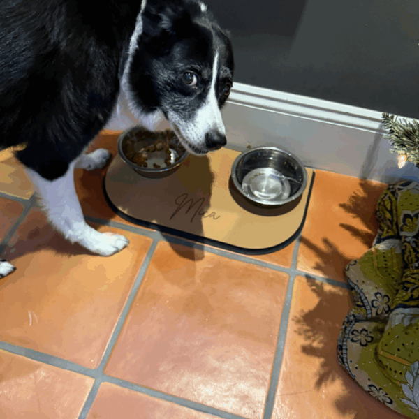 Custom Pet Bowl Mat Set
